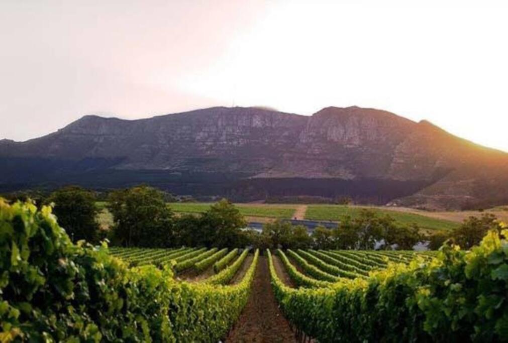 Heart Of Constantia - Solar Powered Apartment